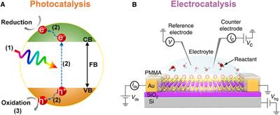 Application of One-Dimensional Nanomaterials in Catalysis at the Single-Molecule and Single-Particle Scale